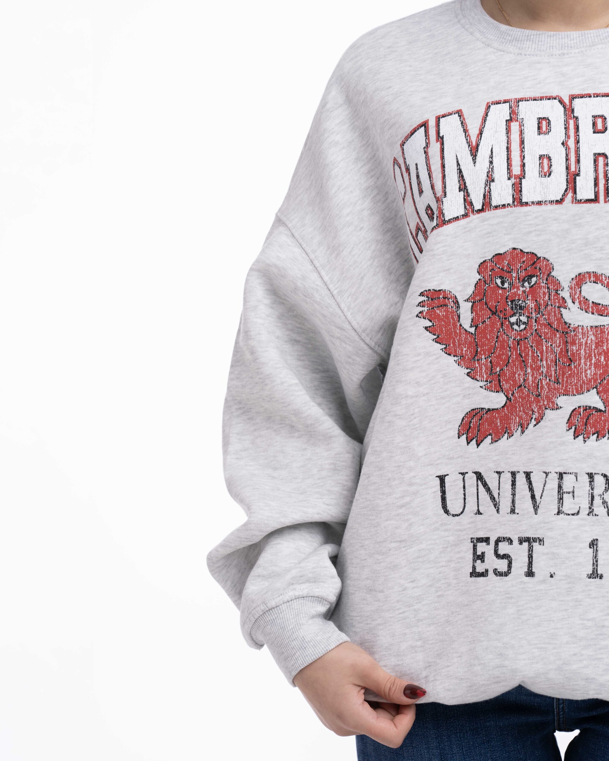 سويتر نسائي BSK - الصورة 2